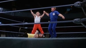 The Incredible Hulk, Season 4 Episode 13 image