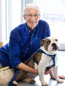 Paul O'Grady: For the Love of Dogs, Season 10 Episode 4 image