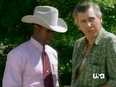 Walker, Texas Ranger, Season 2 Episode 3 image