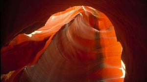 Nature, Season 16 Episode 2 image