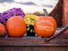 Outrageous Pumpkins, Season 1 Episode 1 image