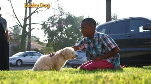 Lucky Dog, Season 1 Episode 7 image