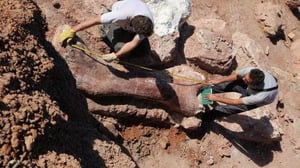 Nature, Season 34 Episode 11 image