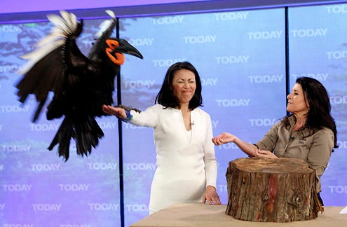 The Today Show - Ann Curry and Julie Scardina, April 12, 2012