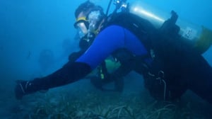 Rob Riggle Global Investigator, Season 1 Episode 3 image