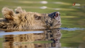 Terra Mater, Season 1 Episode 314 image