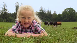 Gabby's Farm, Season 1 Episode 4 image