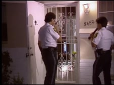 Cops, Season 1 Episode 11 image
