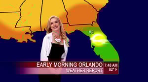 The Hotwives of Orlando, Season 1 Episode 3 image