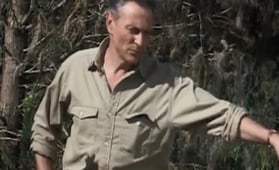 Swamp Thing, Season 2 Episode 8 image