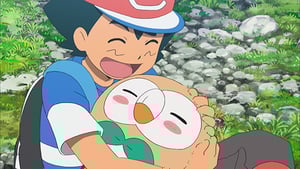 Pokémon, Season 21 Episode 32 image