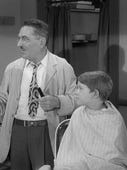 The Andy Griffith Show, Season 2 Episode 30 image