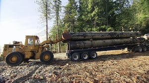 Big Timber, Season 1 Episode 2 image