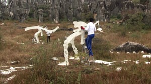 The Amazing Race, Season 18 Episode 5 image