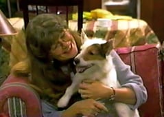 The 5 Mrs. Buchanans, Season 1 Episode 12 image