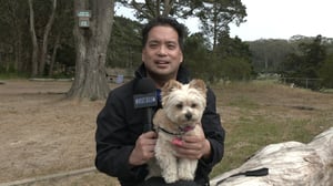 Sidewalks Entertainment, Season 33 Episode 23 image