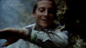 Man vs. Wild, Season 3 Episode 8 image