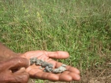 The Unexplained Files, Season 1 Episode 5 image