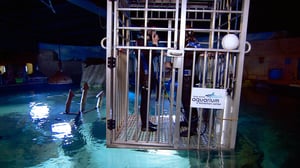 Project Runway All Stars, Season 4 Episode 9 image