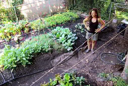 Growing a Greener World, Season 11 Episode 8 image