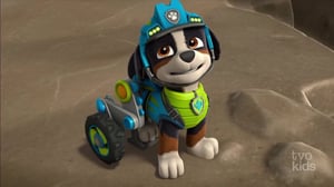 PAW Patrol, Season 7 Episode 7 image
