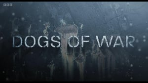 Storyville, Season 28 Episode 18 image