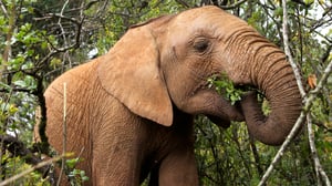 This Wild Life, Season 1 Episode 3 image