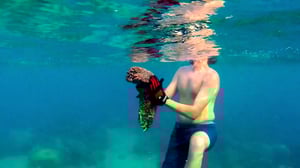 Below Deck, Season 6 Episode 16 image