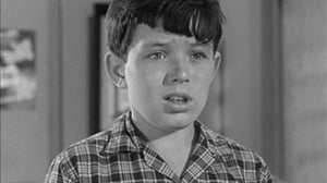 Leave It to Beaver, Season 4 Episode 3 image