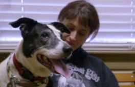 Pit Bulls and Parolees, Season 9 Episode 3 image