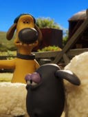 Shaun the Sheep, Season 5 Episode 17 image