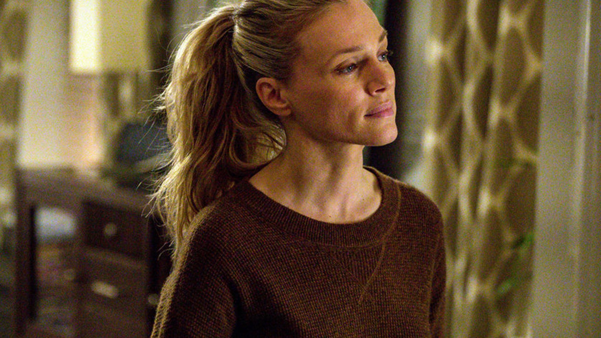 Tracy Spiridakos, Chicago P.D.