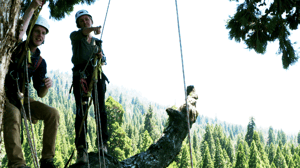 Weird But True, Season 2 Episode 5 image