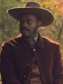 The Underground Railroad, Season 1 Episode 8 image