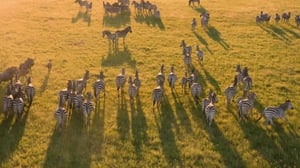 Africa's Deadliest, Season 4 Episode 2 image