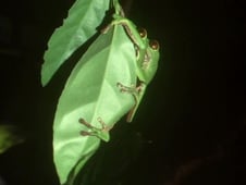 The Trials of Life, Season 1 Episode 1 image