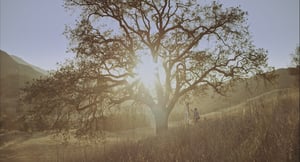 In Absentia, Season 1 Episode 5 image