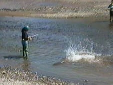 Funniest Pets & People, Season 1 Episode 6 image