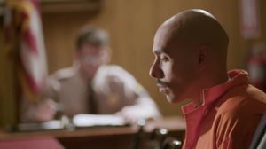 The Real Story with Maria Elena Salinas, Season 1 Episode 9 image