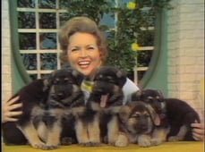 The Pet Set, Season 1 Episode 1 image