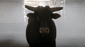 Fatal Attractions, Season 1 Episode 11 image