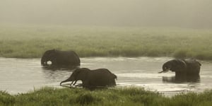 Natural World, Season 35 Episode 7 image