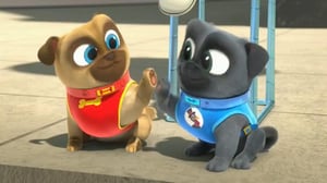 Puppy Dog Pals, Season 4 Episode 1 image