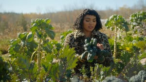 Counter Space, Season 2 Episode 3 image