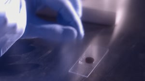 Case Closed with AJ Benza, Season 1 Episode 2 image