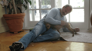 Dog Whisperer with Cesar Millan, Season 9 Episode 11 image