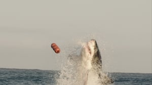 Descending, Season 1 Episode 7 image