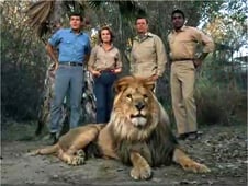 Daktari, Season 1 Episode 4 image