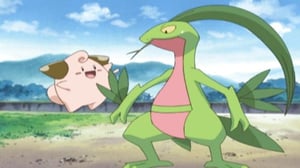 Pokémon, Season 8 Episode 41 image