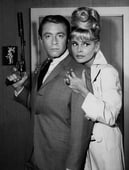 My Favorite Martian, Season 2 Episode 30 image